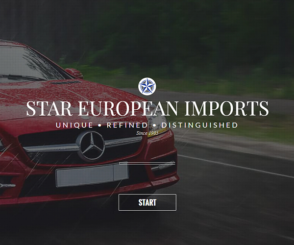 Star European Imports Website Design
